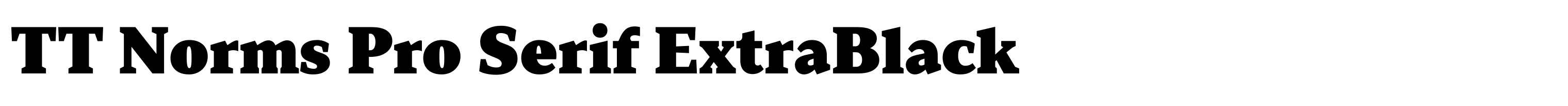TT Norms Pro Serif ExtraBlack